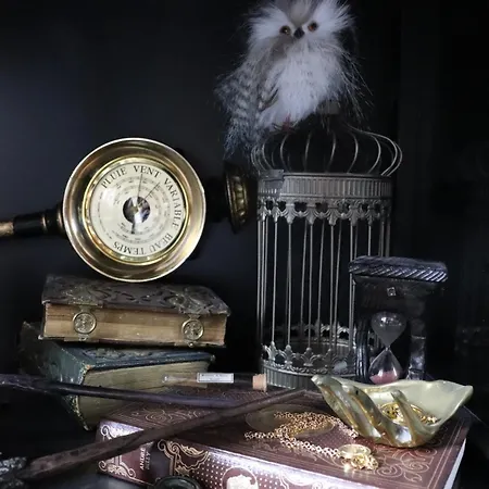 Apartment Le Du Sorcier ! Magique Colmar