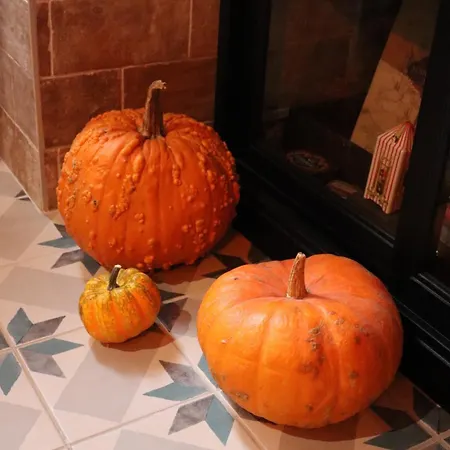 Apartment Le Du Sorcier ! Magique