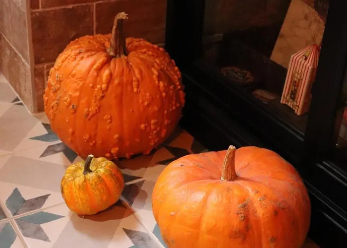 Apartment Le Du Sorcier ! Magique